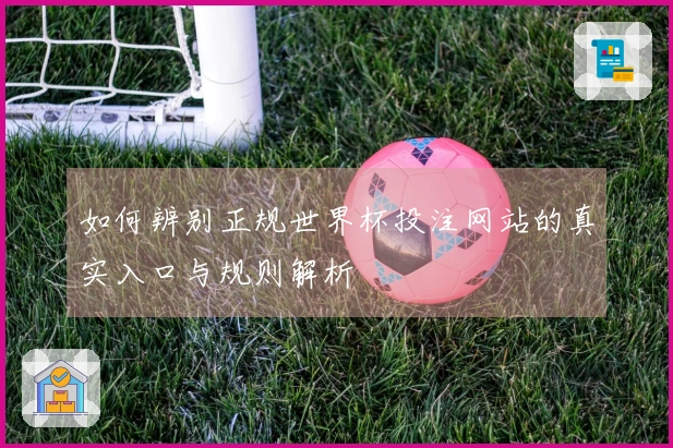如何辨别正规世界杯投注网站的真实入口与规则解析