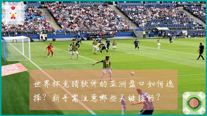 世界杯竞猜软件的亚洲盘口如何选择？新手需注意哪些关键技巧？