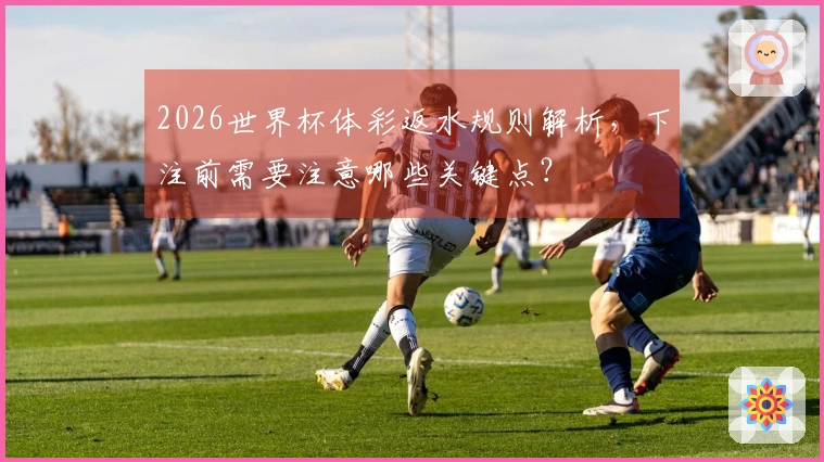 2026世界杯体彩返水规则解析，下注前需要注意哪些关键点？